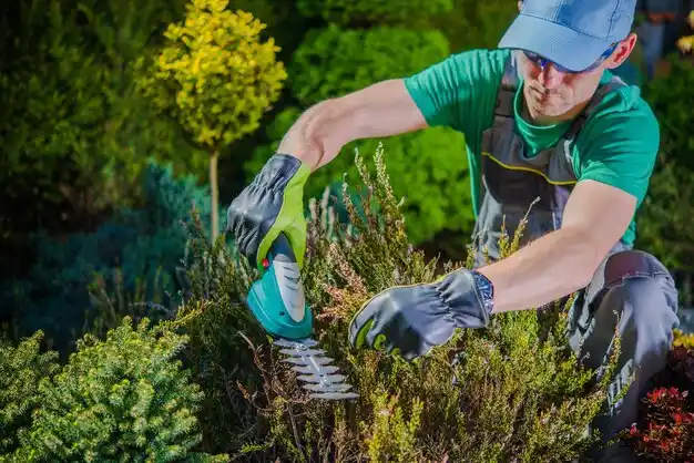 landscaping services Bennington